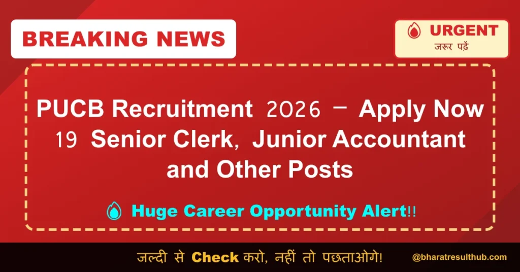 PUCB Recruitment 2026 – Apply Now 19 Senior Clerk, Junior Accountant and Other Posts